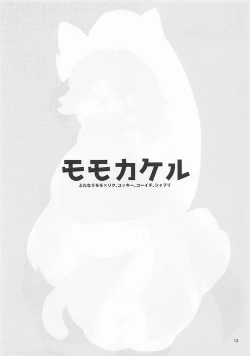 Page 13 of Momokakeru