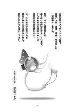 Page 3 of PRISMA FLASH