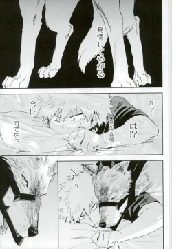 Page 16 of Kedamono yo Iradachi ni Tsume o Fukume