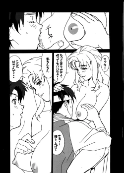 Page 19 of GUNYOU MIKAN Vol.13