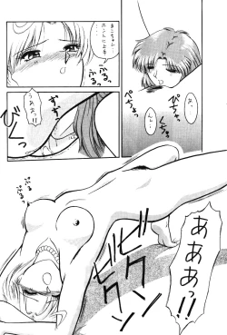 Page 15 of STAIR II FORTUNE