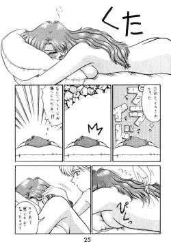 Page 24 of STAIR II FORTUNE