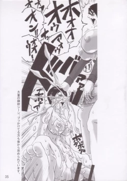 Page 34 of F no Megami