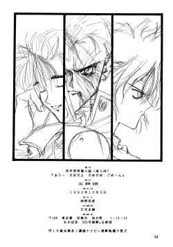 Page 34 of Ah, Dame da yo Dame Dame Gomen (Sailor moon, Sonic Soldier Borgman