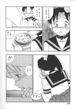 Page 231 of Kyoudai Renka 3