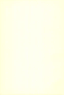 Page 31 of mango pudding