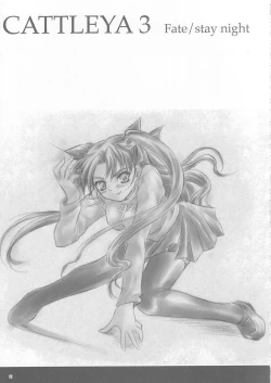 Page 10 of CATTLEYA 3