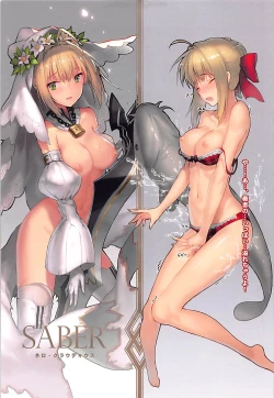 Page 6 of Fate／SUNSHINE