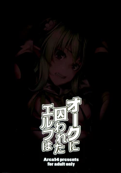 Page 3 of Orc ni Torawareta Elf wa