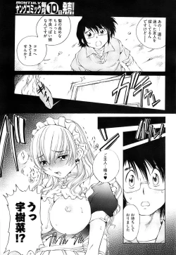 Page 264 of Young Comic 2008-07