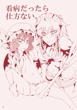 Page 3 of Kanbyou Dattara Shikata Nai