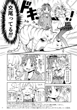 Page 45 of Matometa no.