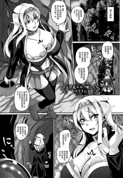Page 107 of Aijou no Injoku Elf |Chinese]