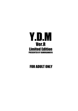 Page 18 of Y.D.M. Vers. R Limited Edition