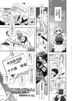 Page 24 of SituColle Touhou Soushuuhen