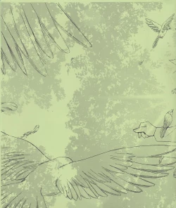 Page 29 of Ombra Mai Fu