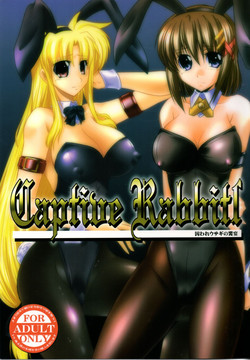 Download Captive Rabbitl