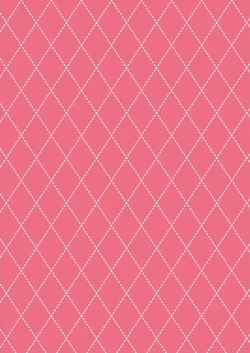 Page 2 of Daisuki na Nazrin to Love Love Cosplay Ecchi