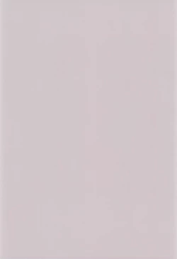 Page 29 of Hikari Mania