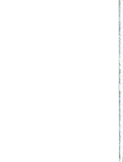 Page 27 of Daisy Lights