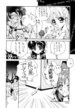 Page 17 of PARASELENE