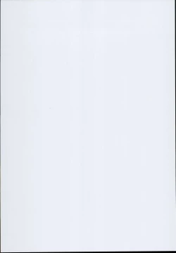 Page 2 of Slave Reimu