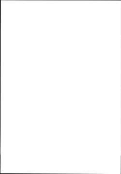 Page 23 of Hinkon Lolita file.03