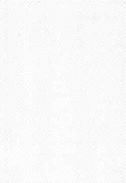 Page 2 of Idol Rinkan AV Nitta Minami