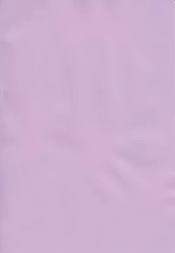 Page 3 of Mahou Shoujo Saimin PakopaCause 2.9 Seisei Doudou Sanban Shoubu Hen