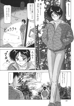Page 66 of Kinshin Shimai Sekkan