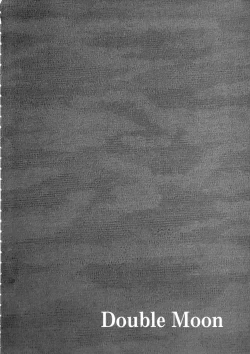 Page 3 of Double Moon