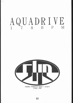 Page 3 of AQUADRIVE 178BPM