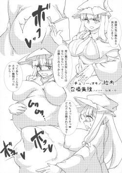 Page 22 of Touhou Bouchoushi `Boujo 2!!!!!!!!'
