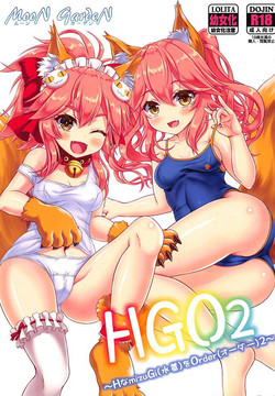 Download HGO 2