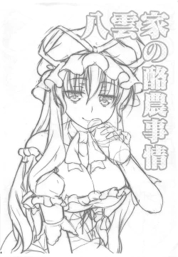 Page 3 of Yakumo-ke no Rakunou Jijou