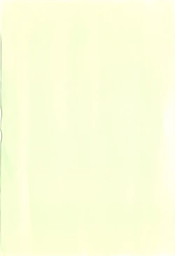 Page 217 of Onee-san ja Dame Kashira?