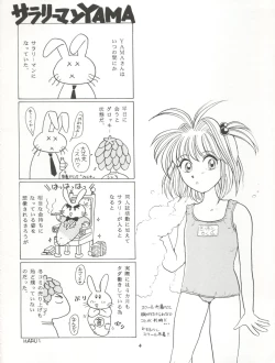 Page 4 of V-TIC 17