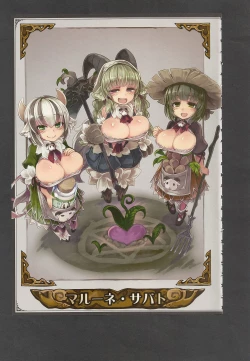 Page 19 of Mamono Musume Zukan World Guide III