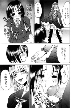 Page 95 of Shippuu Kino Hazuki Kanzen Ban