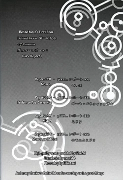 Page 3 of Dulce Report 1