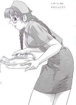 Page 4 of Dulce Report 5