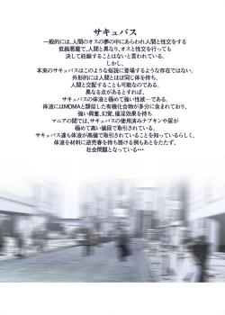 Page 3 of Succubus no Ninshinroku