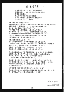 Page 28 of Ninshin Shinobu Densetsu