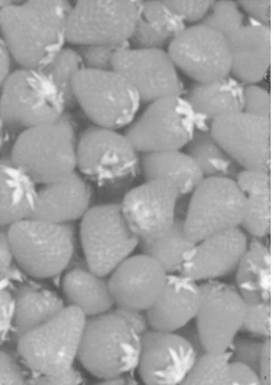 Page 2 of COSMIC DARE