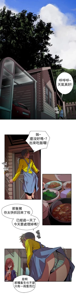 Page 52 of 捕猎母猪