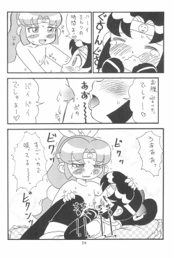 Page 24 of Hinnyuu Musume 14