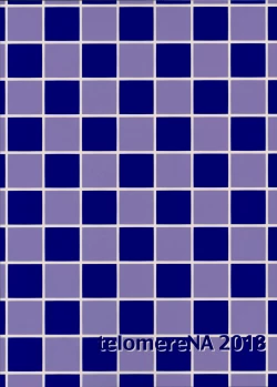 Page 31 of Koyoi Gohoushi ni Mairimasu | 今宵我来侍奉你