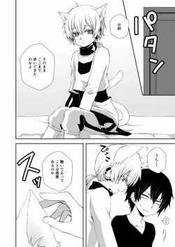 Page 5 of Neko Konoha no Jijiou