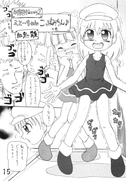 Page 14 of Tsurupeta Kenkyuusho Houkokusho