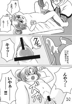 Page 29 of Tsurupeta Kenkyuusho Houkokusho